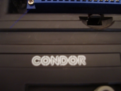 Condor_4