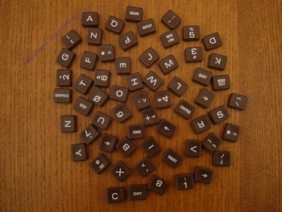 NewBrain (Grundy)_11